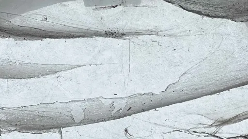 Endangered conceptual worlds